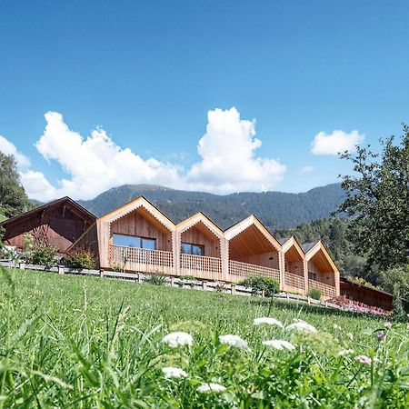 Niederthalerhof Chalets Μπρεσανόνε Εξωτερικό φωτογραφία