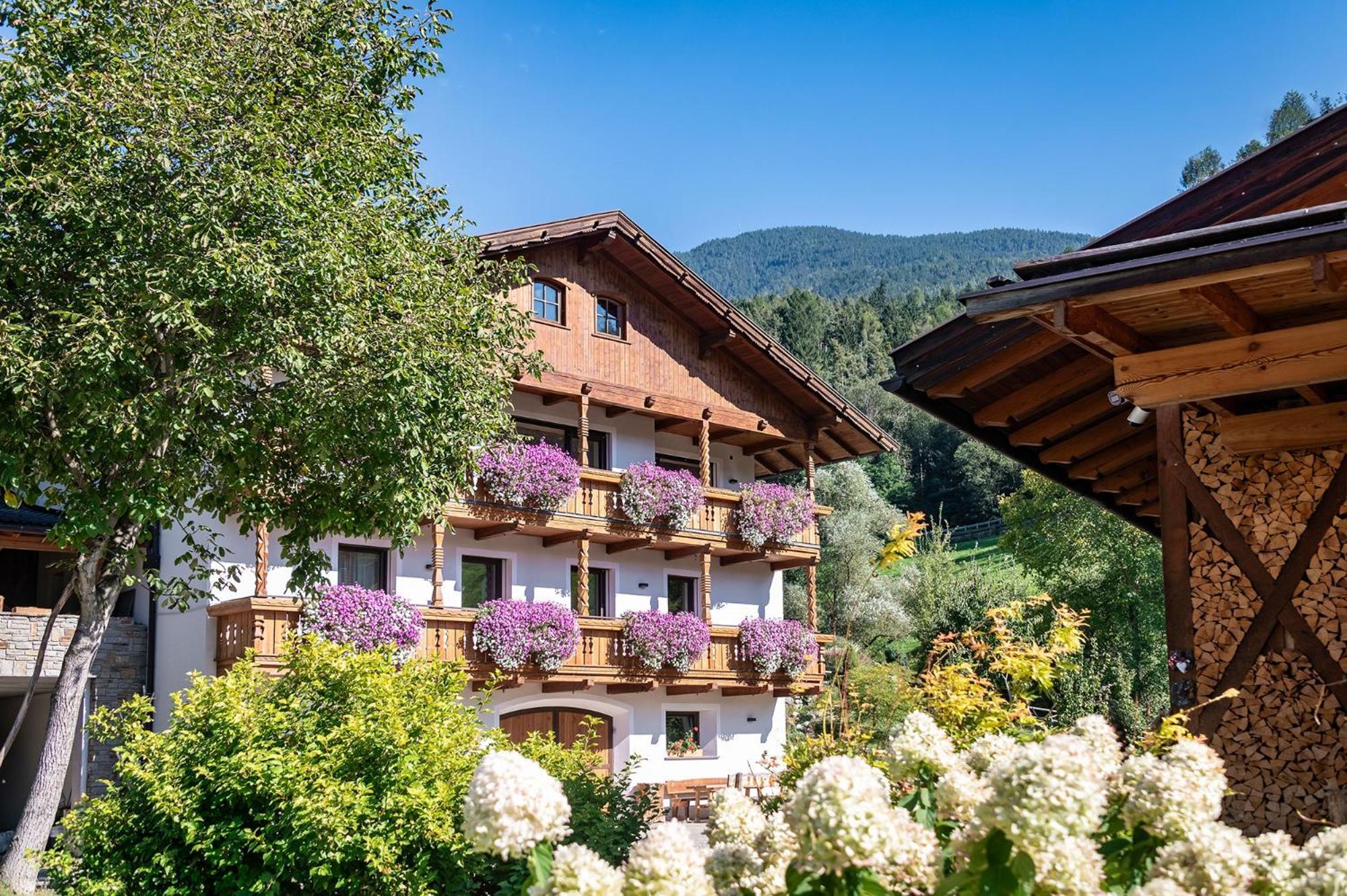 Niederthalerhof Chalets Μπρεσανόνε Εξωτερικό φωτογραφία